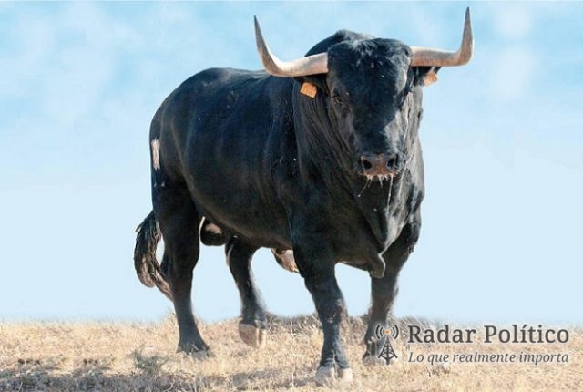 ABCdario / ¿Y EL TORO? | Radar Político