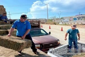 Entrega Ayuntamiento de Los Cabos alfalfa en apoyo a productores ganaderos de Cabo San Lucas