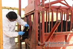 Presenta SEPADA plan preventivo contra el Gusano Barrenador en BCS