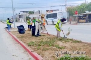 Mantiene XV Ayuntamiento de Los Cabos programa permanente de limpieza y mantenimiento de parques en Cabo San Lucas