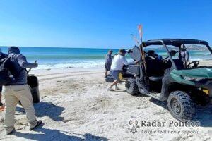 Retira ZOFEMAT residuos arrastrados por las lluvias en playa Costa Azul
