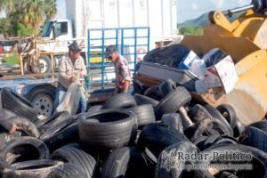 Retira ZOFEMAT Los Cabos 6.5 toneladas de residuos en playa El Médano