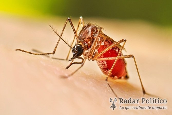 DIGO / DENGUE ¡PROBLEMA SERIO DE SALUD!
