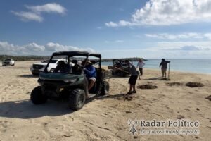 Mantiene Zofemat Los Cabos limpieza permanente en playas del municipio